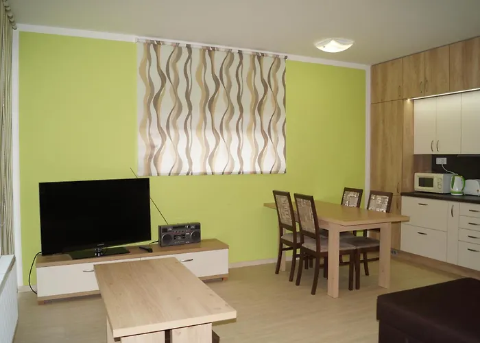 公寓 Klinovec Loučná pod Klínovcem