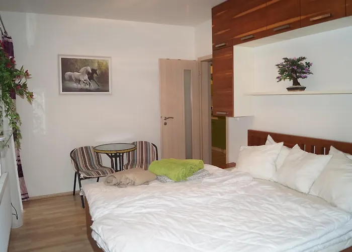 Klinovec Appartement Loučná pod Klínovcem